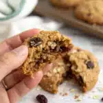 A hand holding a chewy gluten-free oatmeal raisin cookie with a bite taken out.